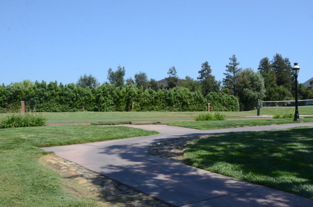 Enlarge photo 19