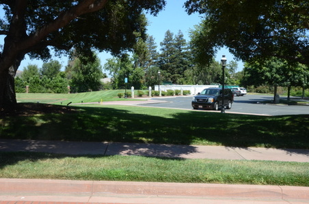 Enlarge photo 35