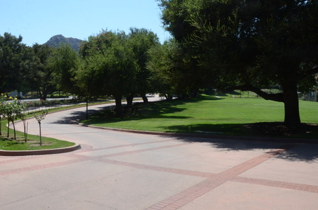 Enlarge photo 46