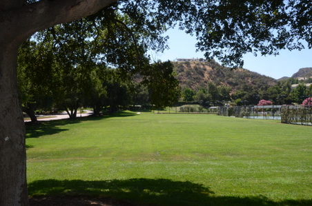 Enlarge photo 47