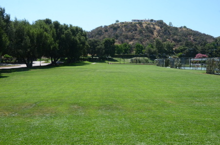 Enlarge photo 48