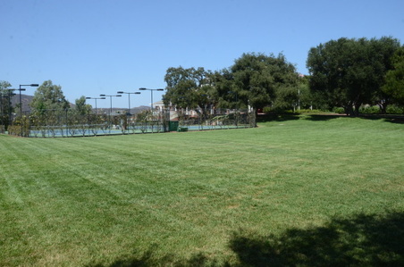 Enlarge photo 49