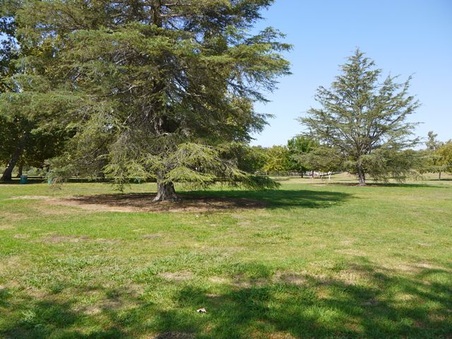 Enlarge photo 2