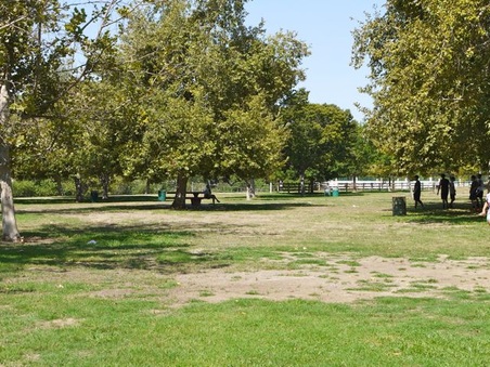 Enlarge photo 8