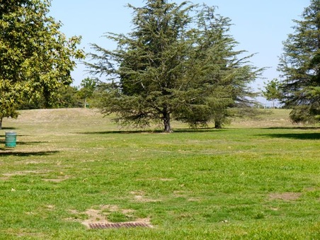 Enlarge photo 10