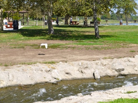 Enlarge photo 24