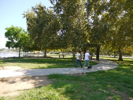 Enlarge photo 29