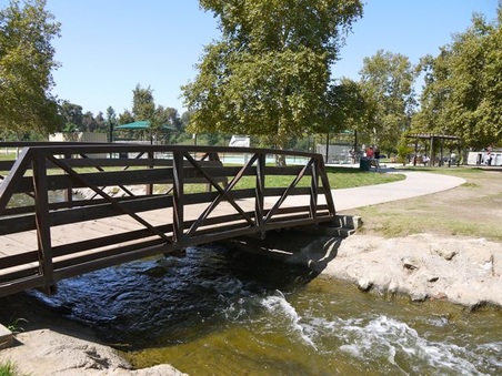 Enlarge photo 31
