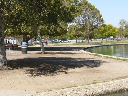 Enlarge photo 33