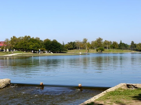 Enlarge photo 34