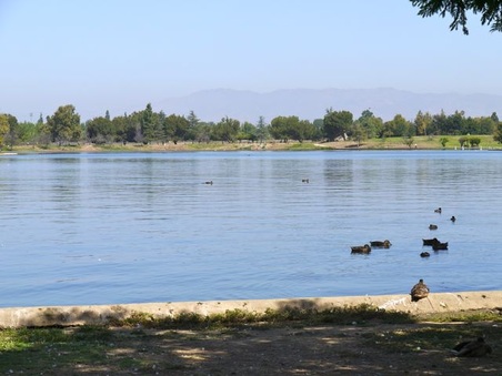 Enlarge photo 35