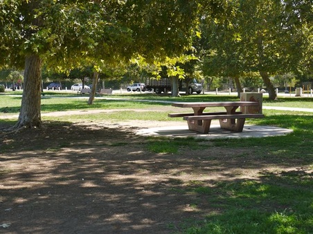 Enlarge photo 36