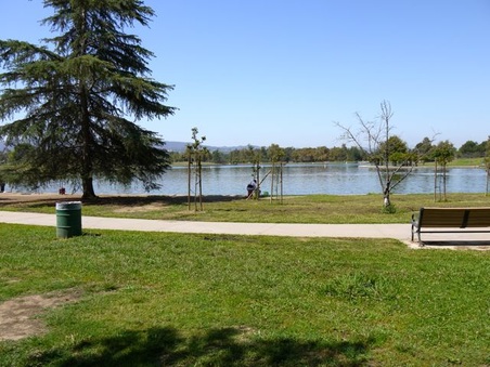 Enlarge photo 37