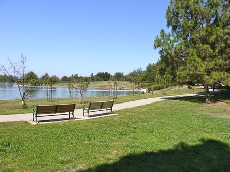 Enlarge photo 38