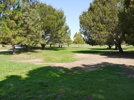 Enlarge photo 39