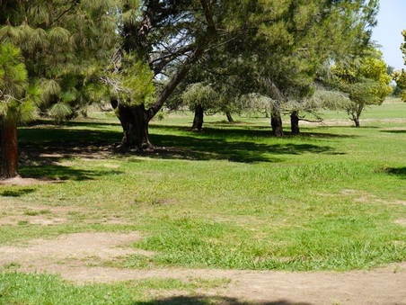 Enlarge photo 40