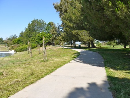 Enlarge photo 42