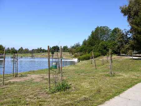 Enlarge photo 44