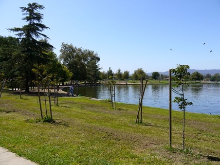 Enlarge photo 45