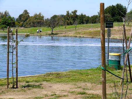 Enlarge photo 47