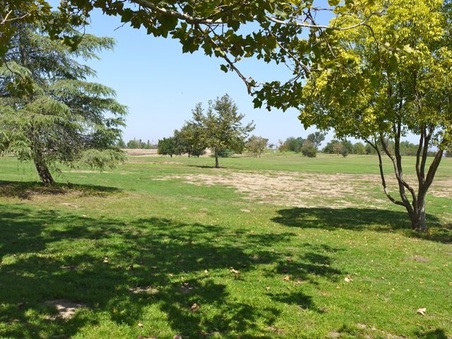 Enlarge photo 48