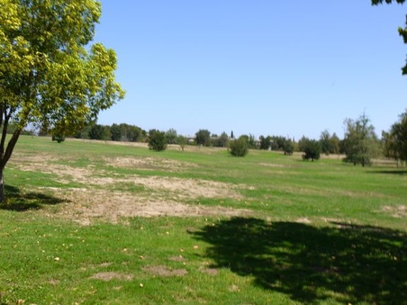 Enlarge photo 49