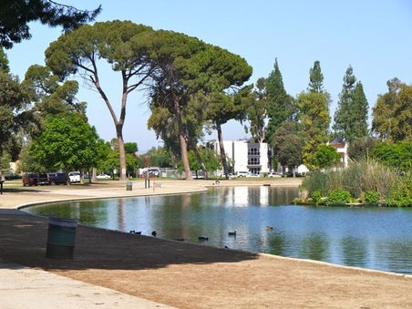 Enlarge photo 8