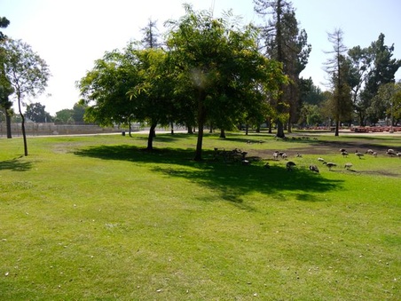 Enlarge photo 9