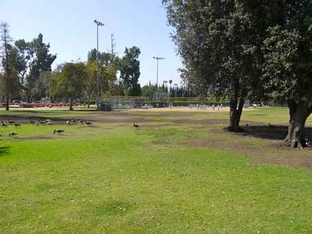 Enlarge photo 10
