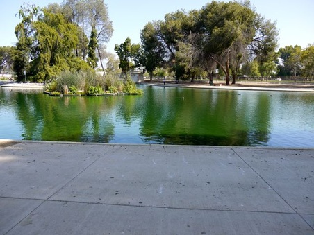 Enlarge photo 12