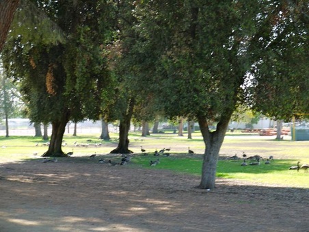 Enlarge photo 14