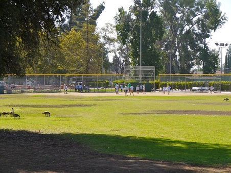 Enlarge photo 15