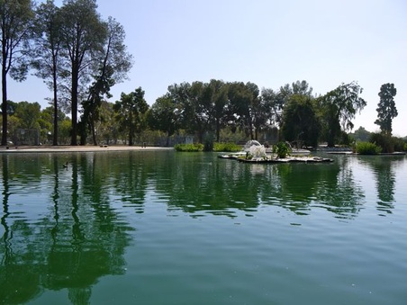 Enlarge photo 17