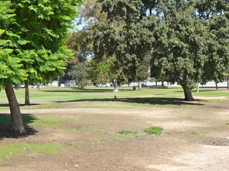 Enlarge photo 19