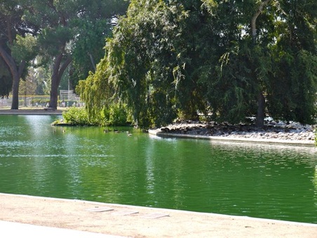 Enlarge photo 22