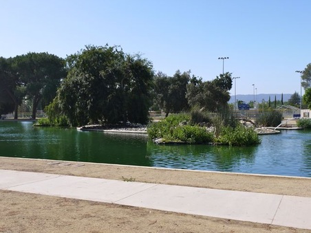 Enlarge photo 23
