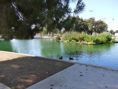 Enlarge photo 24
