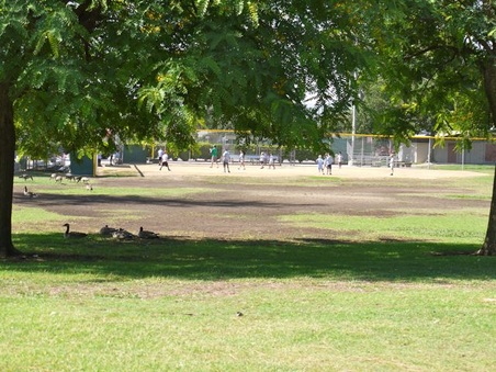 Enlarge photo 26