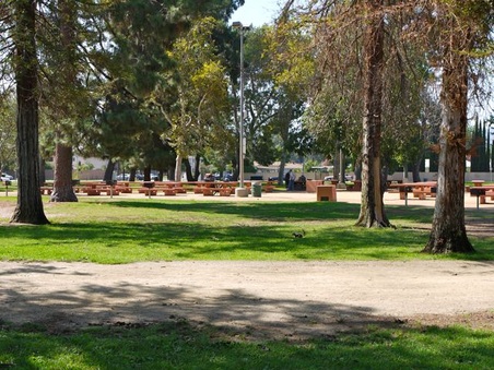 Enlarge photo 28
