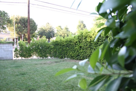 Enlarge photo 4