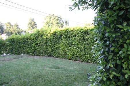 Enlarge photo 7