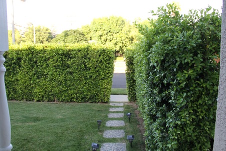 Enlarge photo 8