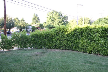Enlarge photo 10