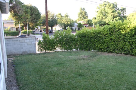 Enlarge photo 11