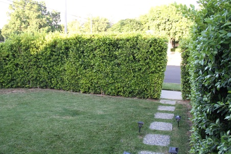 Enlarge photo 12