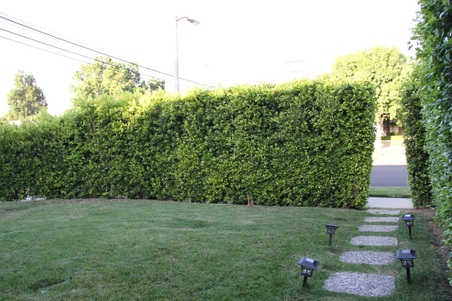 Enlarge photo 13