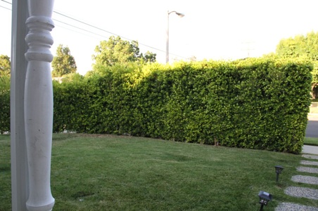 Enlarge photo 14