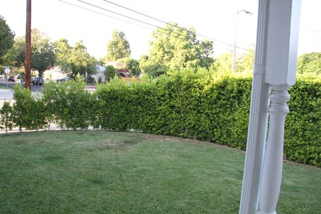 Enlarge photo 16