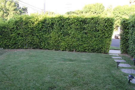 Enlarge photo 18