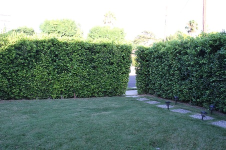 Enlarge photo 19